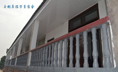 �����B(y��ng)ֳ�W(xu��)�T����